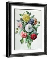 Dahlia-Marie-Anne-Framed Giclee Print