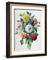 Dahlia-Marie-Anne-Framed Giclee Print