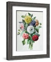Dahlia-Marie-Anne-Framed Giclee Print