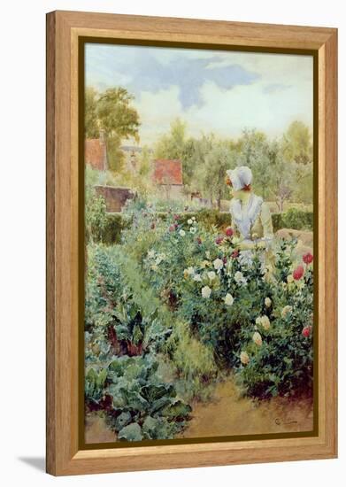 Dahlias, 1896-Alfred Augustus Glendenning-Framed Premier Image Canvas