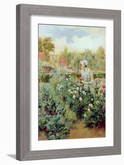 Dahlias, 1896-Alfred Augustus Glendenning-Framed Giclee Print