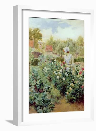 Dahlias, 1896-Alfred Augustus Glendenning-Framed Giclee Print