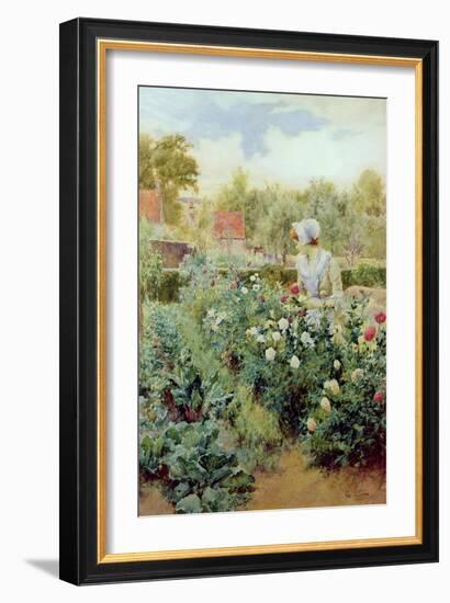 Dahlias, 1896-Alfred Augustus Glendenning-Framed Giclee Print