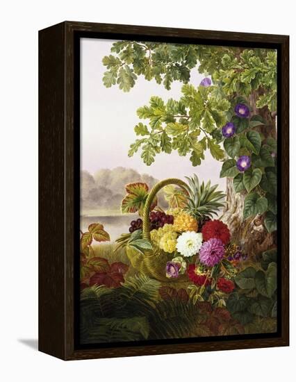 Dahlias, Asters, and Morning Glory-Johan Laurentz Jensen-Framed Premier Image Canvas