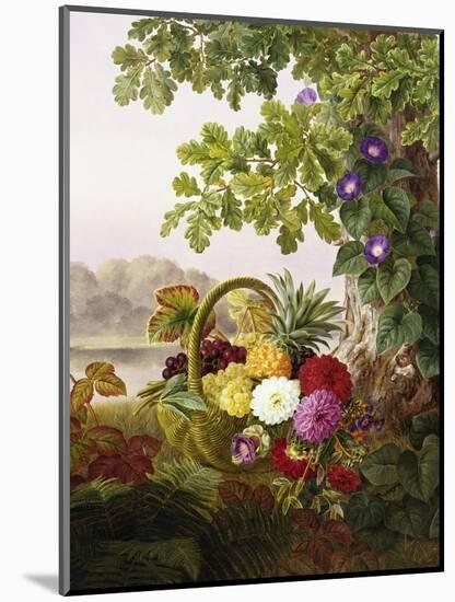 Dahlias, Asters, and Morning Glory-Johan Laurentz Jensen-Mounted Premium Giclee Print