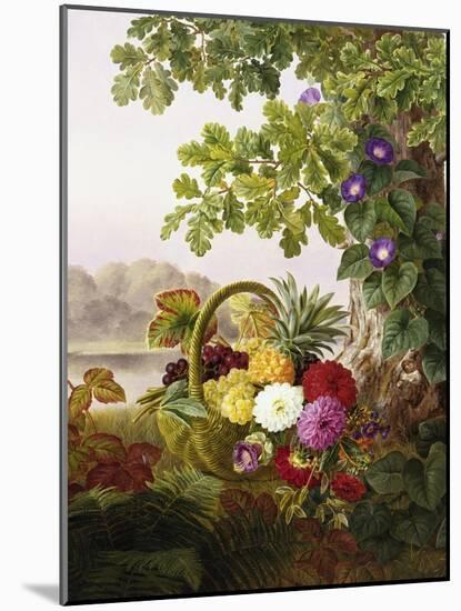 Dahlias, Asters, and Morning Glory-Johan Laurentz Jensen-Mounted Giclee Print