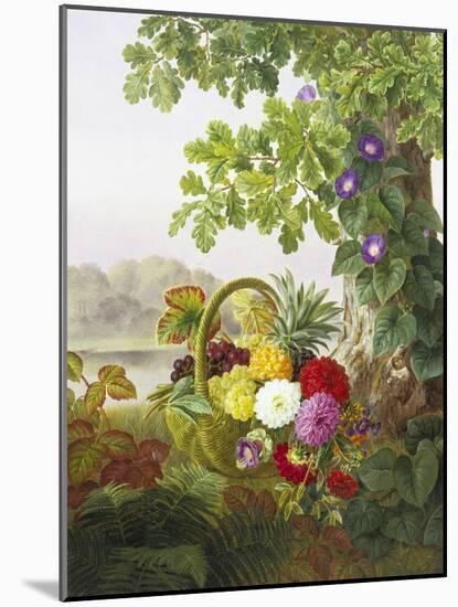Dahlias, Asters and Morning Glory-Johan Laurentz Jensen-Mounted Giclee Print