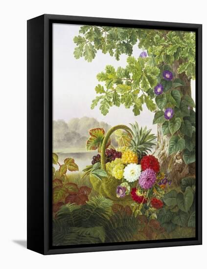 Dahlias, Asters and Morning Glory-Johan Laurentz Jensen-Framed Premier Image Canvas