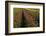 Dahlias, Dahlia Farm, Canby, Oregon, USA-Michel Hersen-Framed Photographic Print