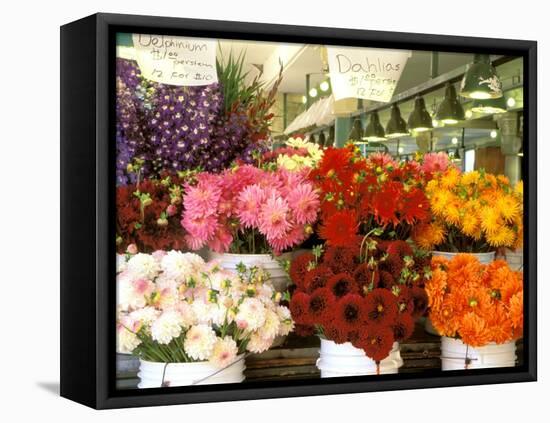 Dahlias For Sale at the Pike Street Market, Seattle, Washington, USA-null-Framed Premier Image Canvas