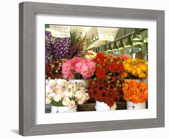 Dahlias For Sale at the Pike Street Market, Seattle, Washington, USA-null-Framed Photographic Print