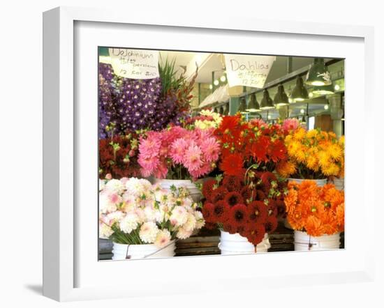 Dahlias For Sale at the Pike Street Market, Seattle, Washington, USA-null-Framed Photographic Print