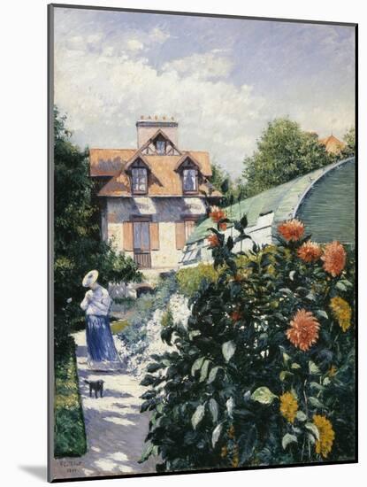 Dahlias, Garden at Petit Gennevilliers - Gustave Caillebotte (1848-1894). Oil on Canvas, 1893. Dime-Gustave Caillebotte-Mounted Giclee Print