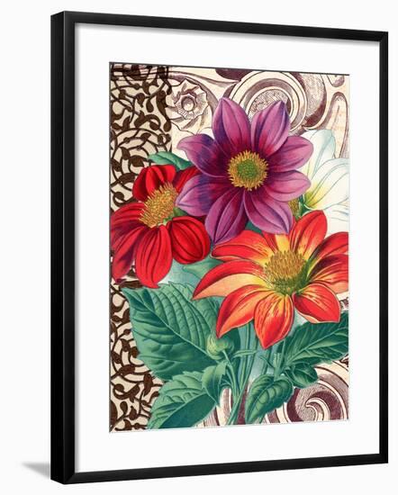 Dahlias-Piddix-Framed Art Print