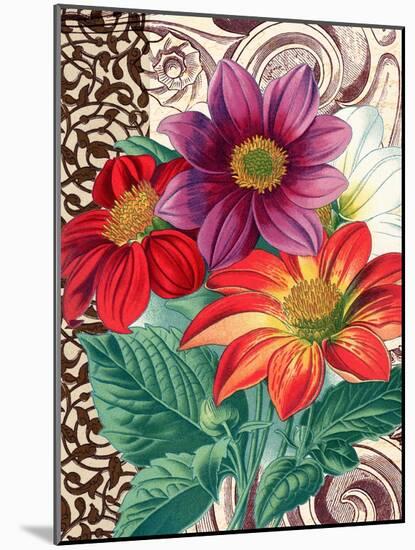 Dahlias-Piddix-Mounted Art Print