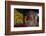 Dai Temple, Taian, Shandong province, China, Asia-Michael Snell-Framed Photographic Print