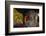 Dai Temple, Taian, Shandong province, China, Asia-Michael Snell-Framed Photographic Print