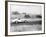 Daily Herald Race Meeting 1955-Hicklin Barham and-Framed Photographic Print