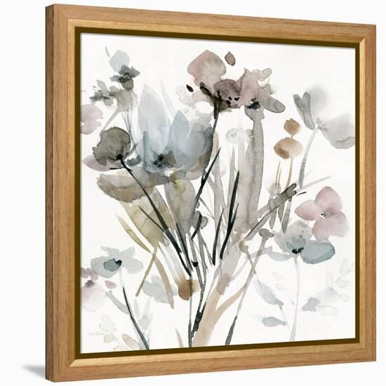 Dainty Blooms I-Carol Robinson-Framed Stretched Canvas