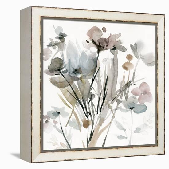 Dainty Blooms I-Carol Robinson-Framed Stretched Canvas