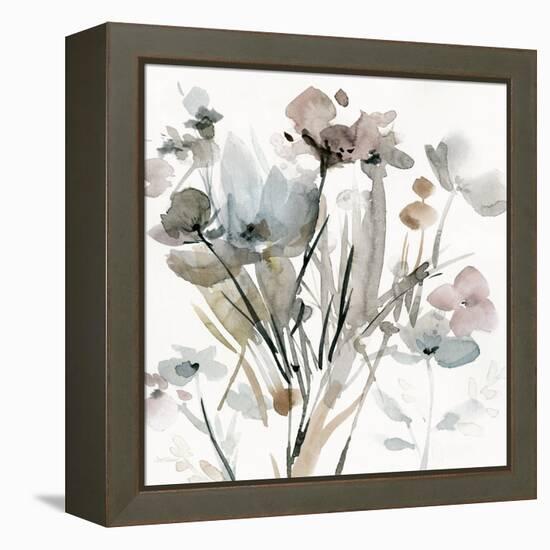 Dainty Blooms I-Carol Robinson-Framed Stretched Canvas