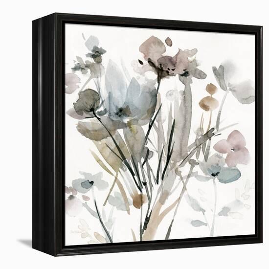 Dainty Blooms I-Carol Robinson-Framed Stretched Canvas