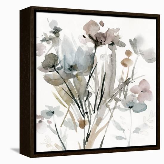 Dainty Blooms I-Carol Robinson-Framed Stretched Canvas