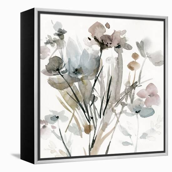 Dainty Blooms I-Carol Robinson-Framed Stretched Canvas