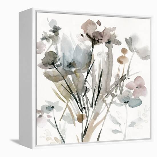 Dainty Blooms I-Carol Robinson-Framed Stretched Canvas