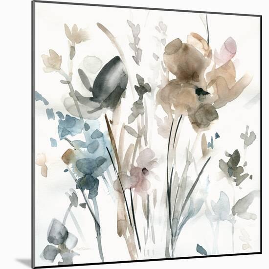 Dainty Blooms II-Carol Robinson-Mounted Art Print
