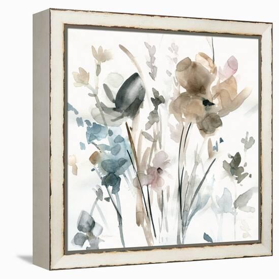 Dainty Blooms II-Carol Robinson-Framed Stretched Canvas