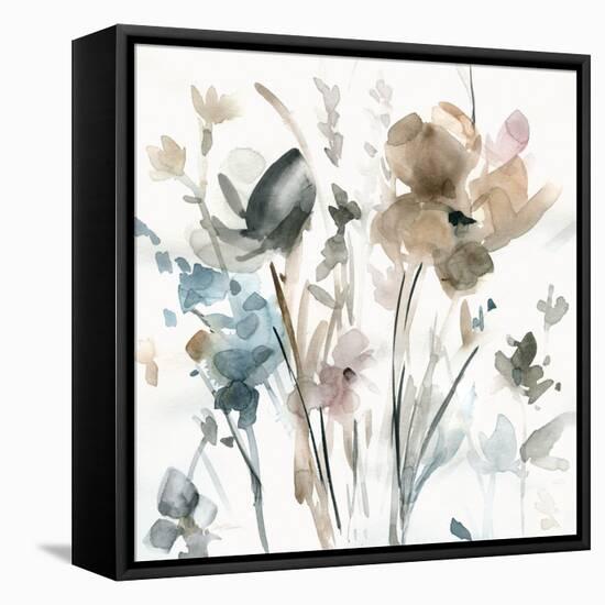 Dainty Blooms II-Carol Robinson-Framed Stretched Canvas