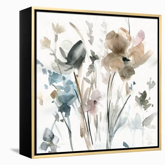 Dainty Blooms II-Carol Robinson-Framed Stretched Canvas