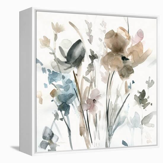 Dainty Blooms II-Carol Robinson-Framed Stretched Canvas