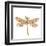 Dainty Dragonfly-Jessica Mingo-Framed Art Print