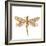 Dainty Dragonfly-Jessica Mingo-Framed Art Print