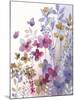 Dainty Florals-Sandra Jacobs-Mounted Giclee Print