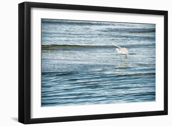 Dainty-Mary Lou Johnson-Framed Art Print