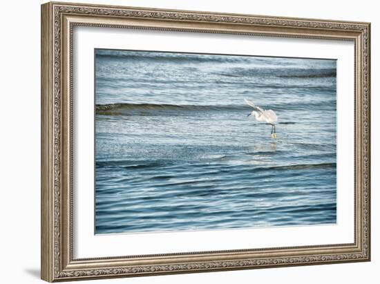 Dainty-Mary Lou Johnson-Framed Art Print