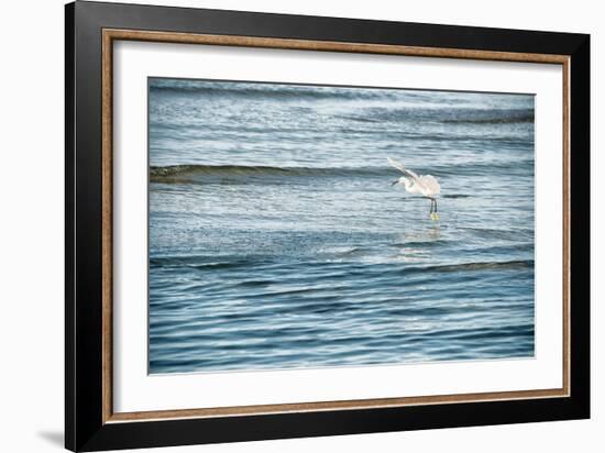 Dainty-Mary Lou Johnson-Framed Art Print