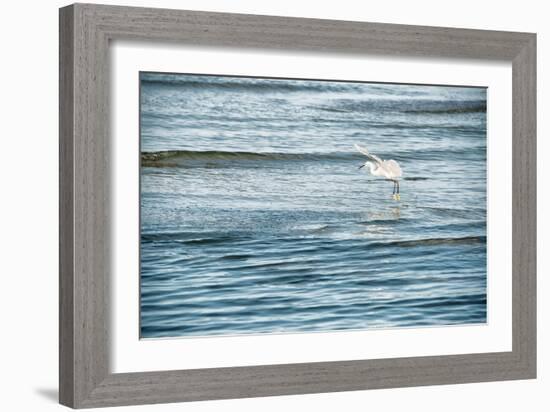 Dainty-Mary Lou Johnson-Framed Art Print