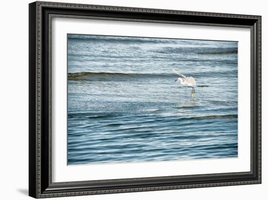 Dainty-Mary Lou Johnson-Framed Art Print