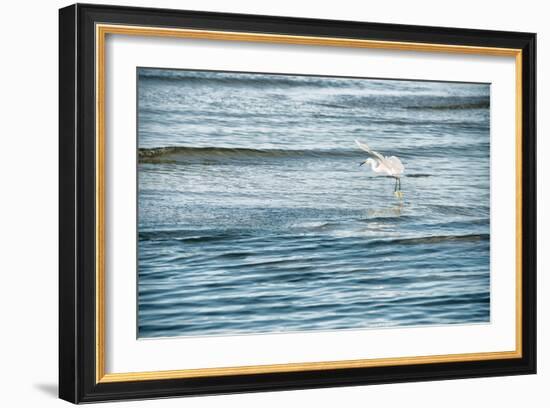 Dainty-Mary Lou Johnson-Framed Art Print