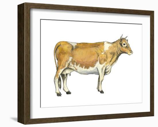 Dairy Cattle (Bos Taurus), Mammals-Encyclopaedia Britannica-Framed Art Print