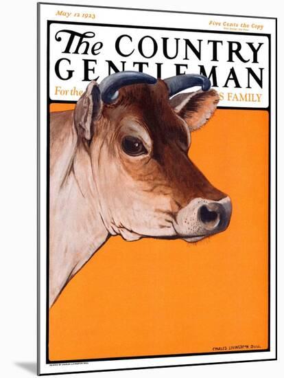 "Dairy Cow," Country Gentleman Cover, May 12, 1923-Charles Bull-Mounted Giclee Print