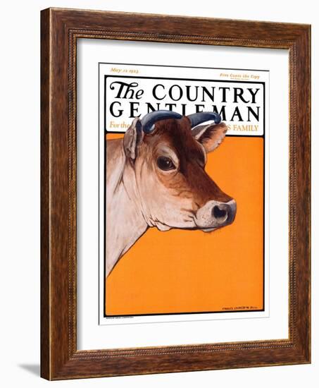 "Dairy Cow," Country Gentleman Cover, May 12, 1923-Charles Bull-Framed Giclee Print