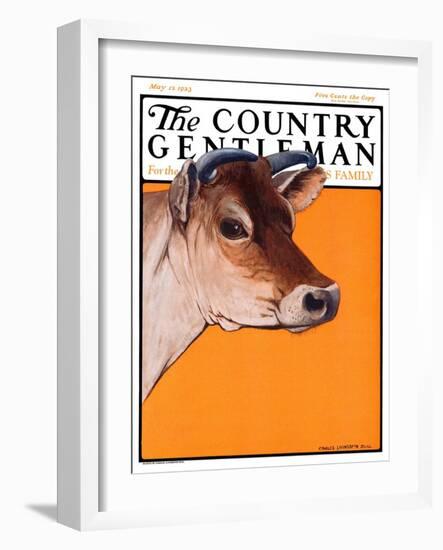 "Dairy Cow," Country Gentleman Cover, May 12, 1923-Charles Bull-Framed Giclee Print