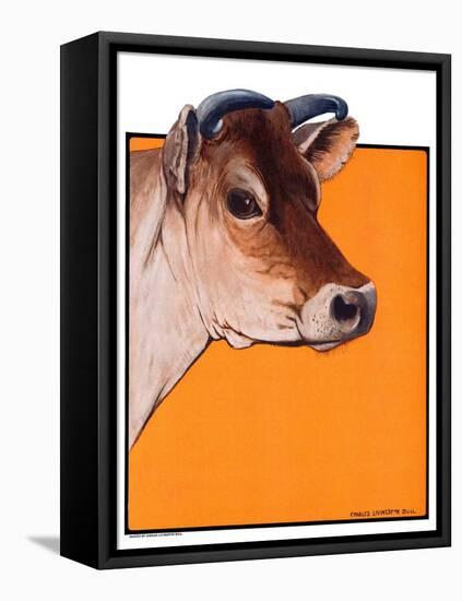 "Dairy Cow,"May 12, 1923-Charles Bull-Framed Premier Image Canvas