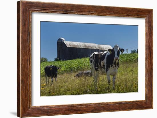 Dairy Farm-Brenda Petrella Photography LLC-Framed Giclee Print