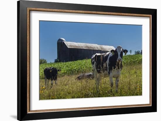 Dairy Farm-Brenda Petrella Photography LLC-Framed Giclee Print